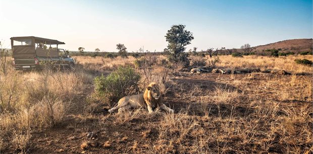 Trafalgar Tours | Best of South Africa with Victoria Falls Trafalgar Tours | Best of South Africa with Victoria Falls