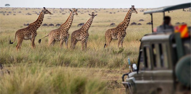 Trafalgar Tours | Essence of South Africa Trafalgar Tours | Essence of South Africa