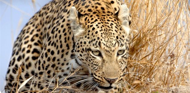 World Journeys - Africa Tours World Journeys - Africa Tours