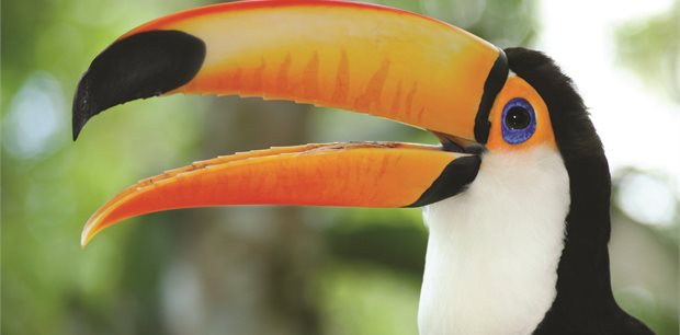 Costsaver  - Central America Tours Costsaver  - Central America Tours