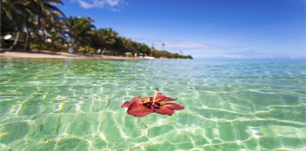 Fiji on Sale - Business Class - Fiji Airways - From Auckland Fiji on Sale - Business Class - Fiji Airways - From Auckland