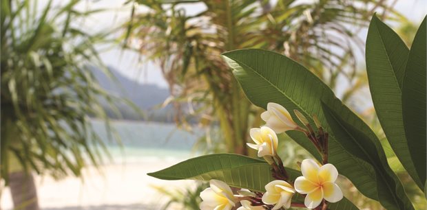 Fiji with Fiji Airways Fiji with Fiji Airways