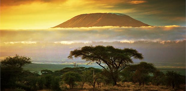 Active Adventures |  Kilimanj -  Mount Kilimanjaro Trek