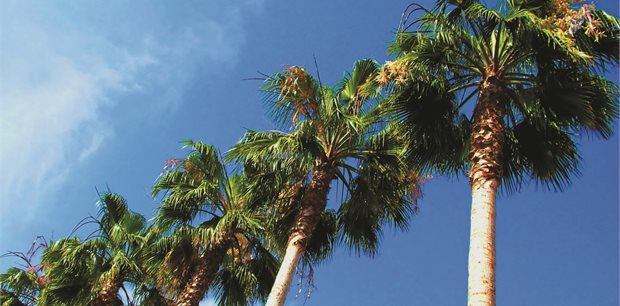 Palm Springs Tours Palm Springs Tours