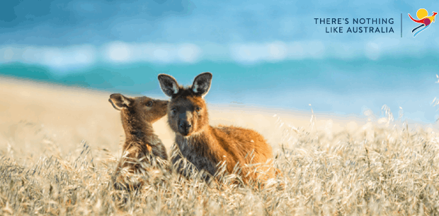 South Australia Hotels South Australia Hotels