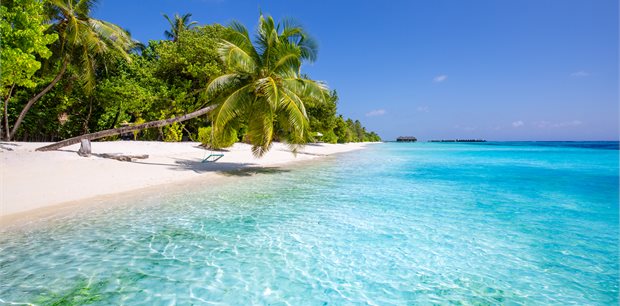 Fiji on Sale - Fiji Airways - From Wellington Fiji on Sale - Fiji Airways - From Wellington