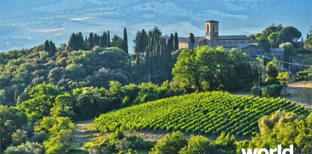 World Journeys | Tastes of Tuscan Vineyards World Journeys | Tastes of Tuscan Vineyards