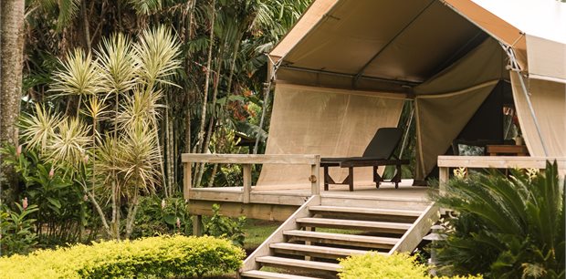 Ikurangi Eco Retreat Ikurangi Eco Retreat