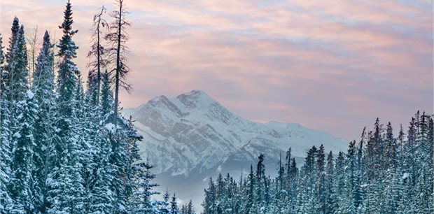 7 Day Rockies Winter Wildlife 7 Day Rockies Winter Wildlife