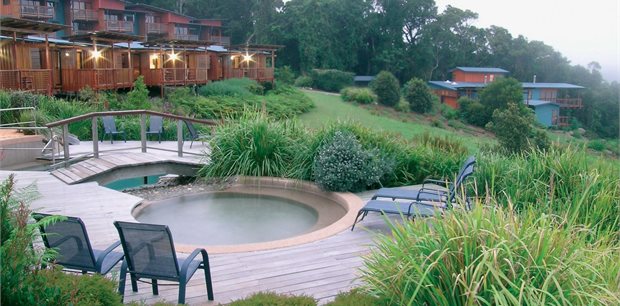 O'Reilly's Rainforest Retreat O'Reilly's Rainforest Retreat