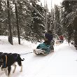 6 Day Northern Lights & Winter Nights 6 Day Northern Lights & Winter Nights