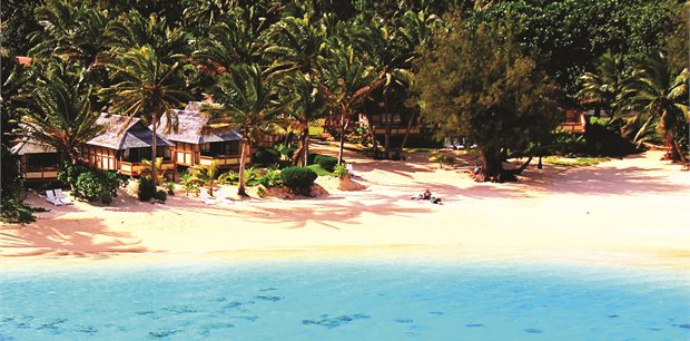 Palm Grove Palm Grove