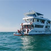 Intrepid | Galapagos Adventure: Northern Islands (Grand Daphne) Intrepid | Galapagos Adventure: Northern Islands (Grand Daphne)