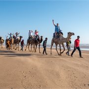Intrepid | Morocco Family Holiday