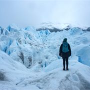 Intrepid | Highlights of Patagonia