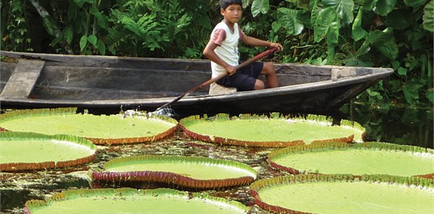 Intrepid | Peru: Amazon Jungle Short Break