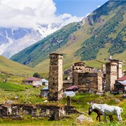 Intrepid | Azerbaijan & Georgia Experience