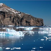 Intrepid | Best of Antarctica In Depth (Ocean Endeavour)